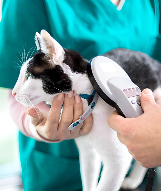 a person holding a cute cat with a microchip machine