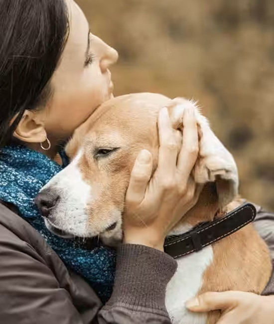 a person holds a sad dog