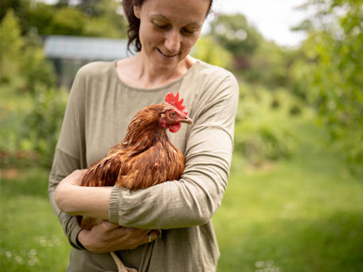 a woman gently cradles a chicken in her arms