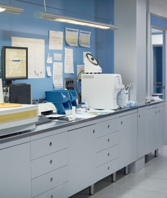 pet lab testing machine on counter in animal hospital